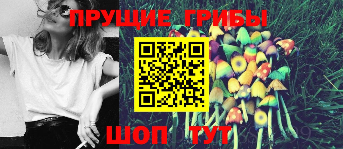 Псилоцибиновые грибы ЛСД  Вход с VPN  Кстово  Псилоцибиновые грибы GOLDEN TEACHER 